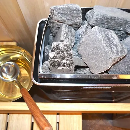 Sauna Jacuzzi 55